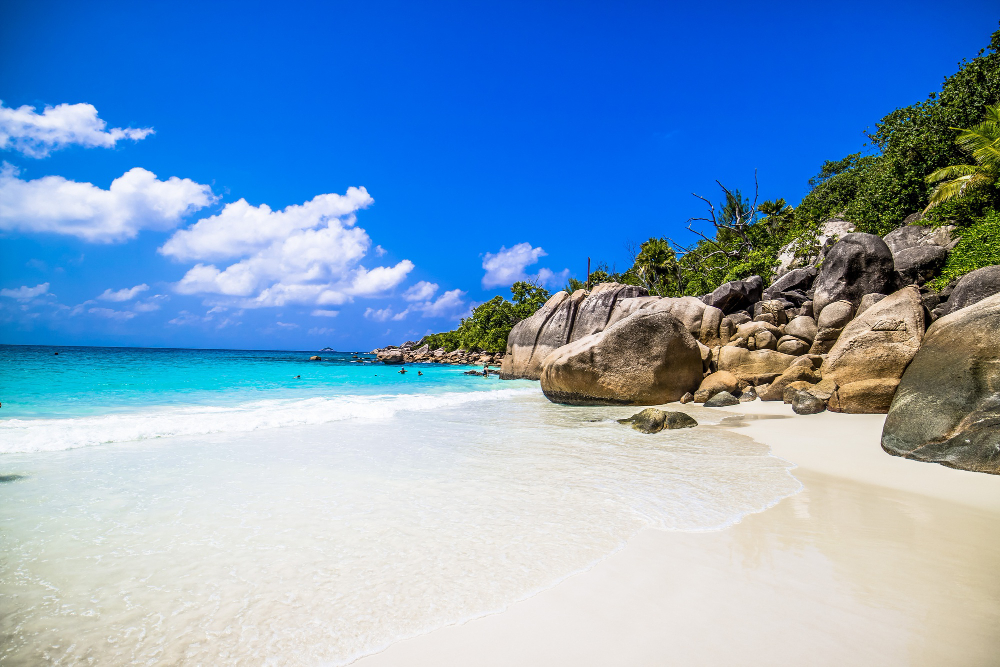 Beach View